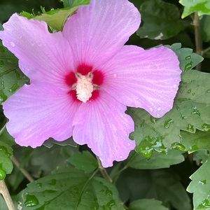 Meet your Posher, Beyza